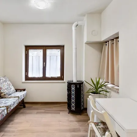 La Petite Maison - Wi-fi, Netflix, Fireplace, 20min To Zoncolan And Sappada - Pet Friendly *