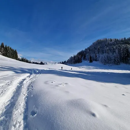La Petite Maison - Wi-fi, Netflix, Fireplace, 20min To Zoncolan And Sappada - Pet Friendly * Rigolato
