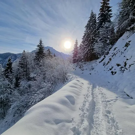 La Petite Maison - Wi-fi, Netflix, Fireplace, 20min To Zoncolan And Sappada - Pet Friendly Apartmán Rigolato