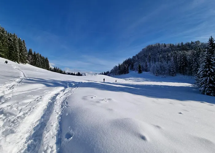 La Petite Maison - Wi-fi, Netflix, Fireplace, 20min To Zoncolan And Sappada - Pet Friendly * Rigolato