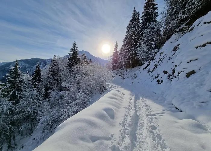 La Petite Maison - Wi-fi, Netflix, Fireplace, 20min To Zoncolan And Sappada - Pet Friendly Apartman Rigolato